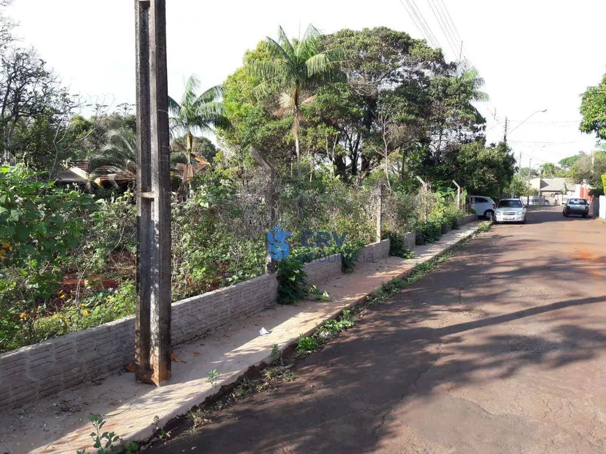 Foto 5 de Terreno / Lote à venda, 5205m2 em Vila Oliveira, Rolandia - PR