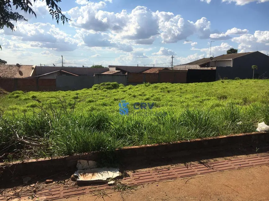 Foto 8 de Terreno / Lote à venda, 5205m2 em Vila Oliveira, Rolandia - PR