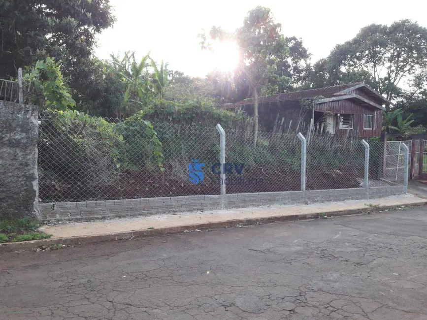 Foto 6 de Terreno / Lote à venda, 5205m2 em Vila Oliveira, Rolandia - PR