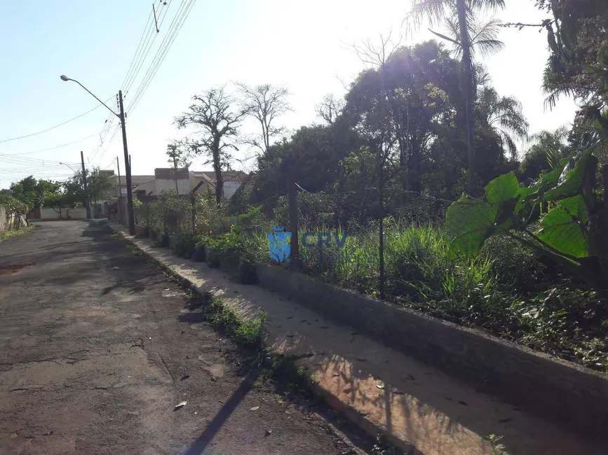 Foto 3 de Terreno / Lote à venda, 5205m2 em Vila Oliveira, Rolandia - PR