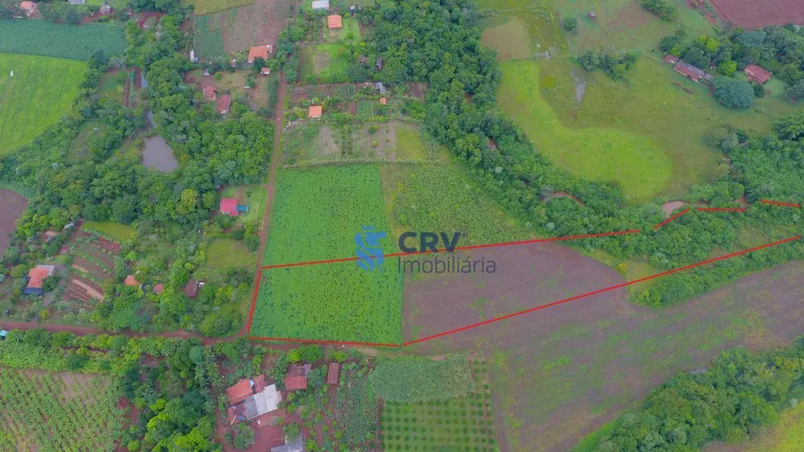 Chácara com 1 quarto à venda, 20405m2 em Limoeiro, Londrina - PR - imagem 4 Foto 4 de Chácara com 1 quarto à venda, 20405m2 em Limoeiro, Londrina - PR