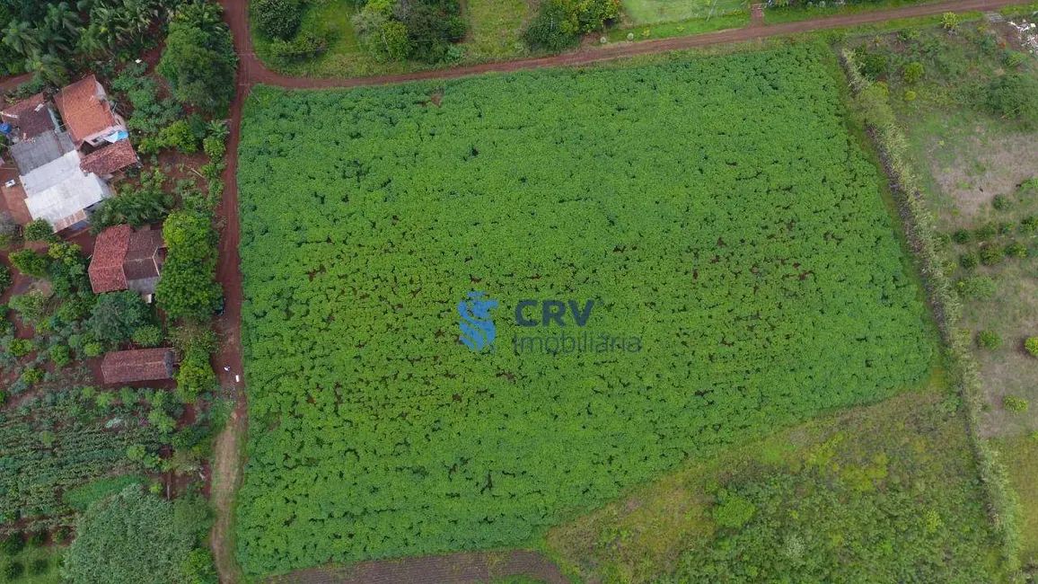 Chácara com 1 quarto à venda, 20405m2 em Limoeiro, Londrina - PR - imagem 6 Foto 6 de Chácara com 1 quarto à venda, 20405m2 em Limoeiro, Londrina - PR