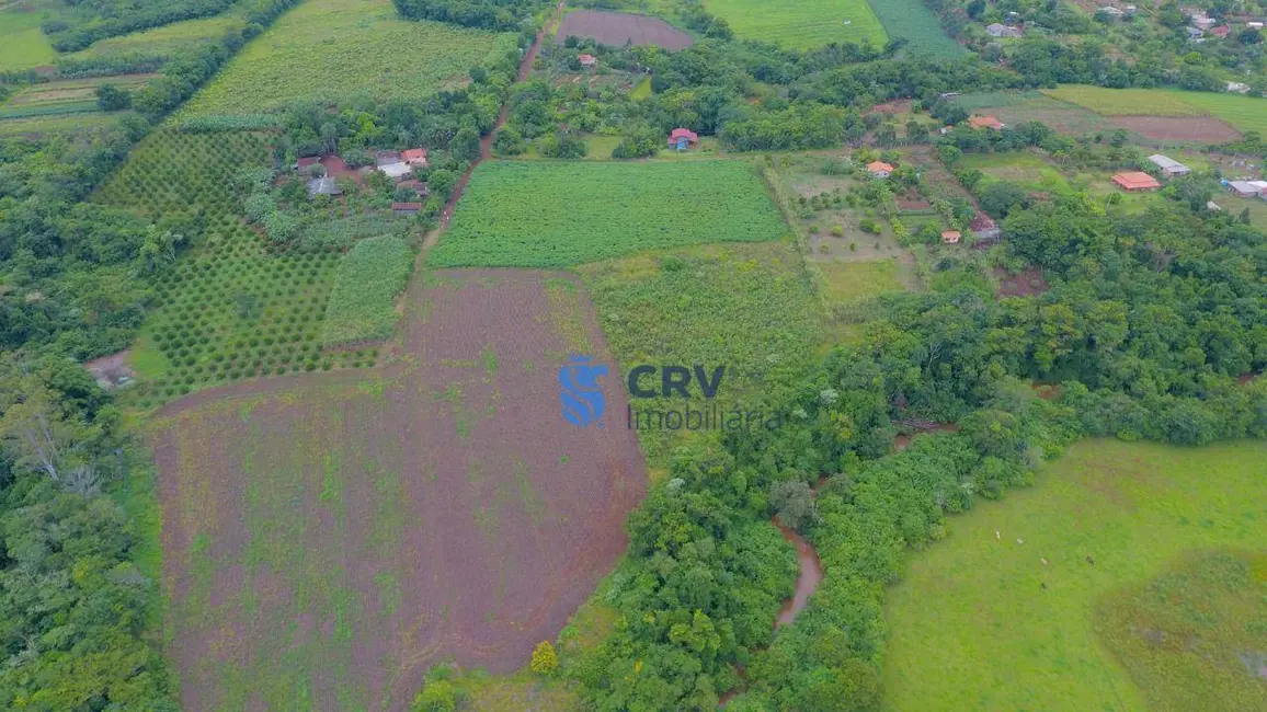 Chácara com 1 quarto à venda, 20405m2 em Limoeiro, Londrina - PR - imagem 3 Foto 3 de Chácara com 1 quarto à venda, 20405m2 em Limoeiro, Londrina - PR