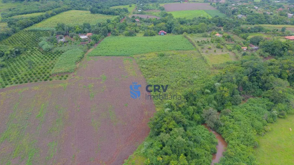 Chácara com 1 quarto à venda, 20405m2 em Limoeiro, Londrina - PR - imagem 8 Foto 8 de Chácara com 1 quarto à venda, 20405m2 em Limoeiro, Londrina - PR