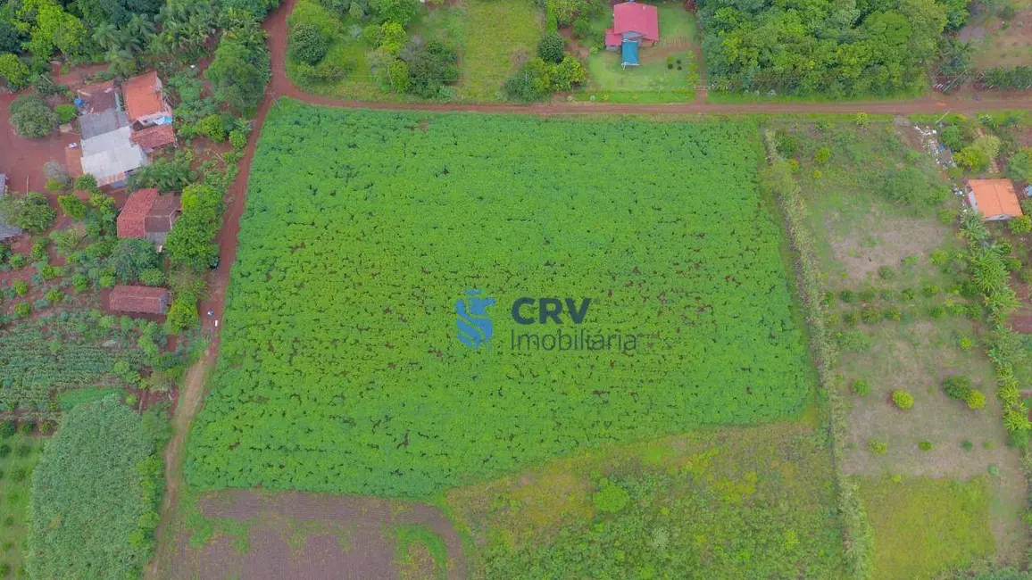 Chácara com 1 quarto à venda, 20405m2 em Limoeiro, Londrina - PR - imagem 5 Foto 5 de Chácara com 1 quarto à venda, 20405m2 em Limoeiro, Londrina - PR
