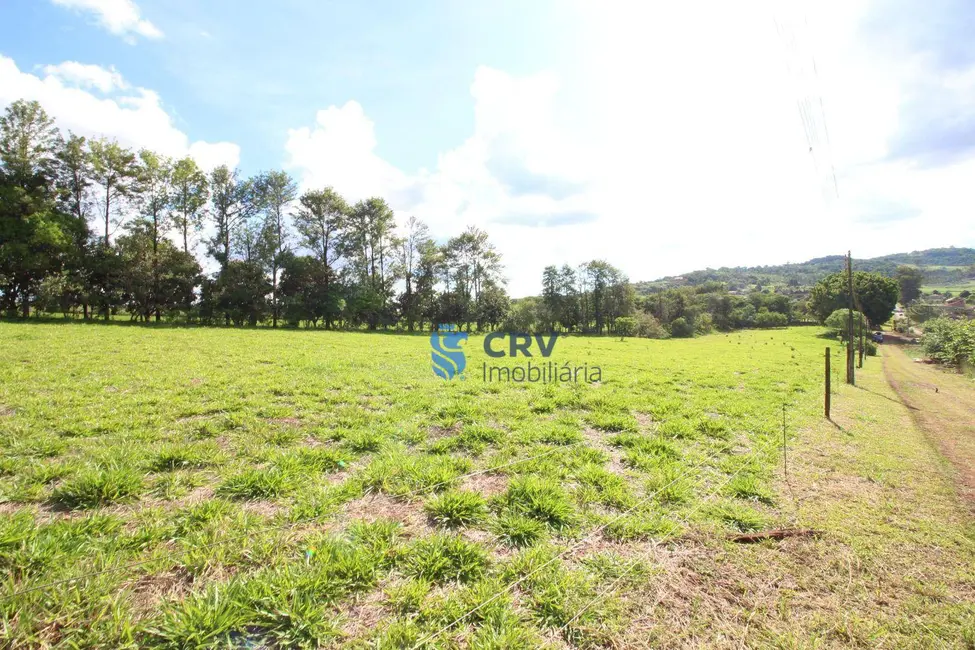 Chácara com 1 quarto à venda, 13100m2 em Limoeiro, Londrina - PR - imagem 3 Foto 3 de Chácara com 1 quarto à venda, 13100m2 em Limoeiro, Londrina - PR