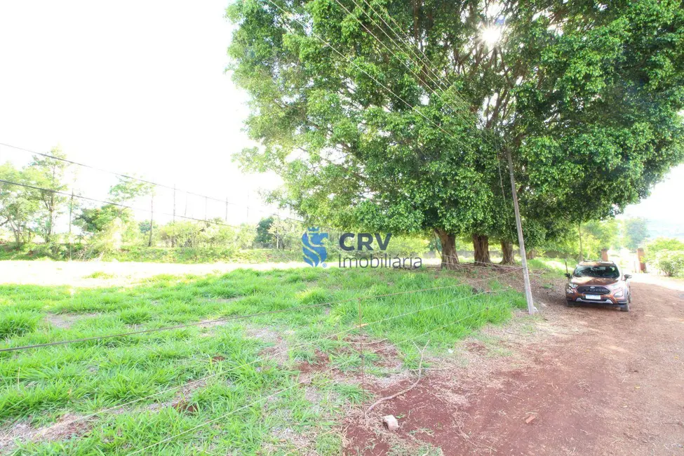 Chácara com 1 quarto à venda, 13100m2 em Limoeiro, Londrina - PR - imagem 7 Foto 7 de Chácara com 1 quarto à venda, 13100m2 em Limoeiro, Londrina - PR