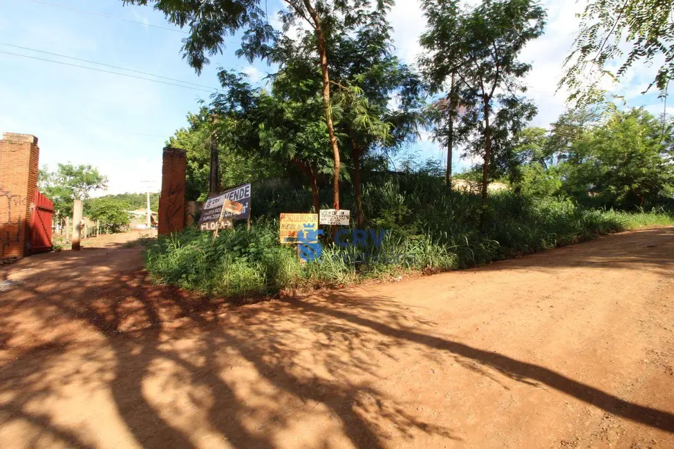 Chácara com 1 quarto à venda, 13100m2 em Limoeiro, Londrina - PR - imagem 9 Foto 9 de Chácara com 1 quarto à venda, 13100m2 em Limoeiro, Londrina - PR