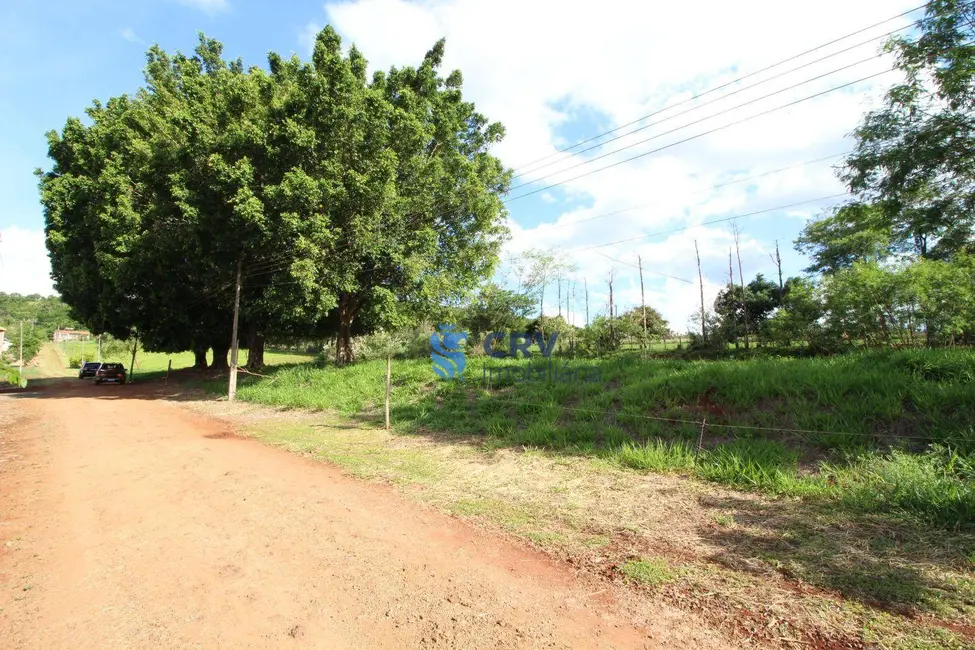 Chácara com 1 quarto à venda, 13100m2 em Limoeiro, Londrina - PR - imagem 8 Foto 8 de Chácara com 1 quarto à venda, 13100m2 em Limoeiro, Londrina - PR