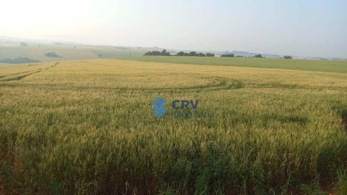 Foto 1 de Sítio / Rancho à venda, 242000m2 em Centro, Ivaipora - PR