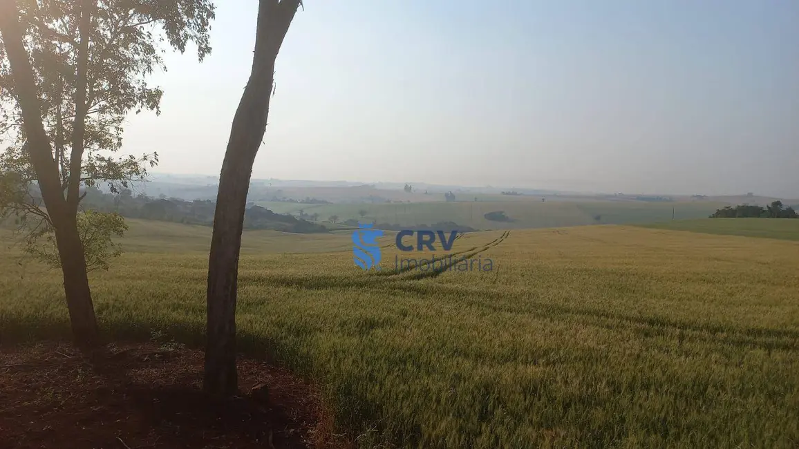 Foto 7 de Sítio / Rancho à venda, 242000m2 em Centro, Ivaipora - PR