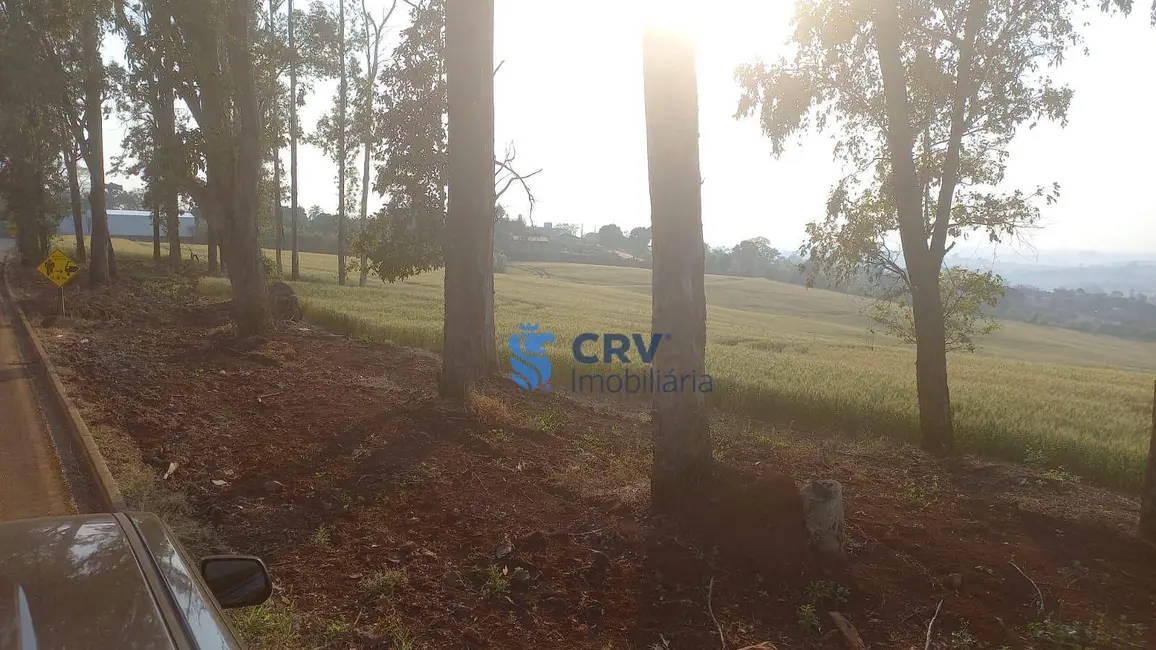Foto 6 de Sítio / Rancho à venda, 242000m2 em Centro, Ivaipora - PR