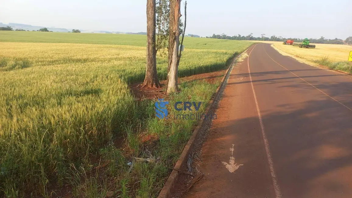 Foto 8 de Sítio / Rancho à venda, 242000m2 em Centro, Ivaipora - PR