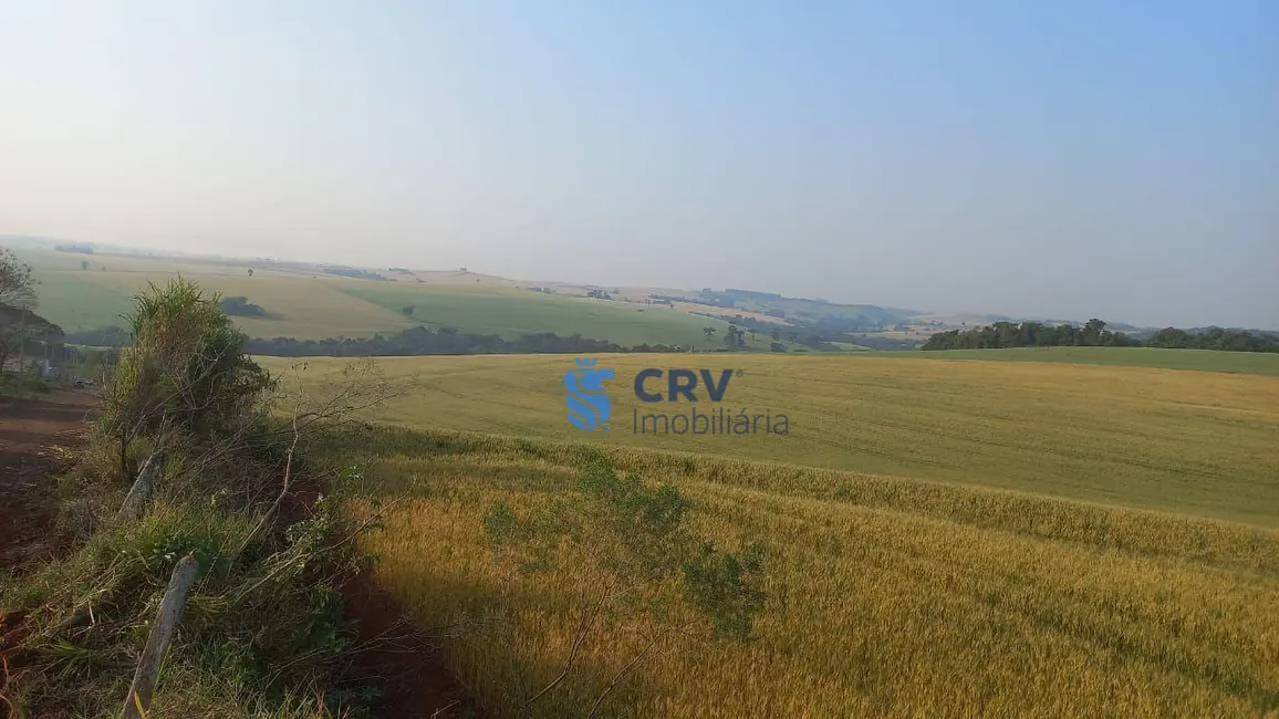 Foto 5 de Sítio / Rancho à venda, 242000m2 em Centro, Ivaipora - PR