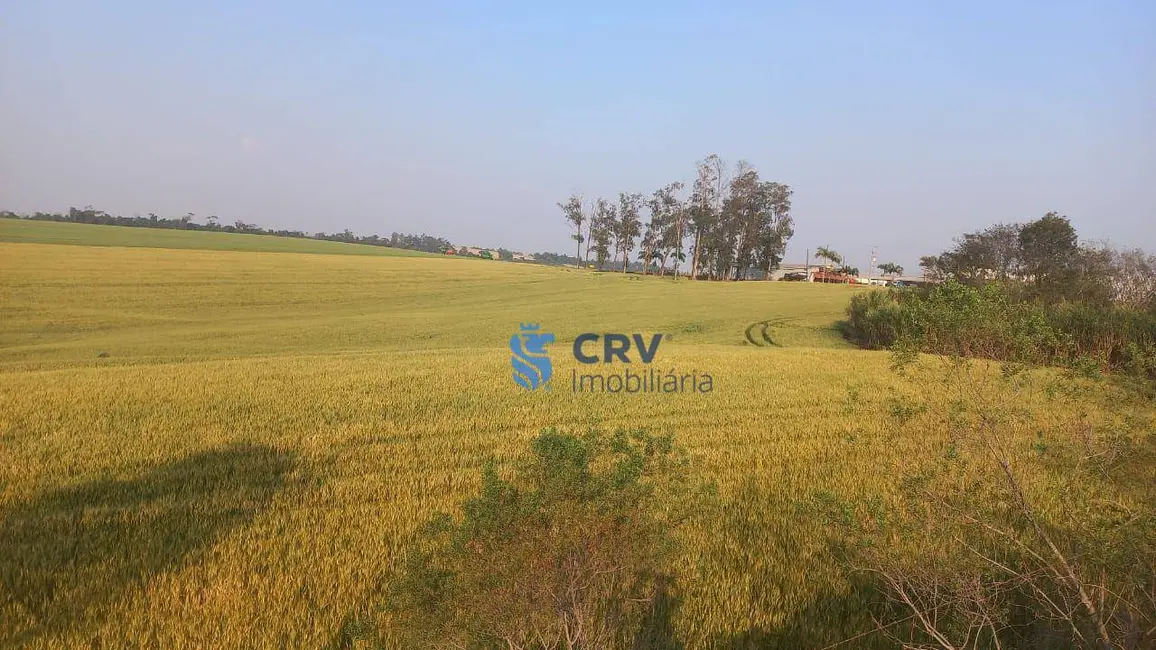 Foto 3 de Sítio / Rancho à venda, 242000m2 em Centro, Ivaipora - PR