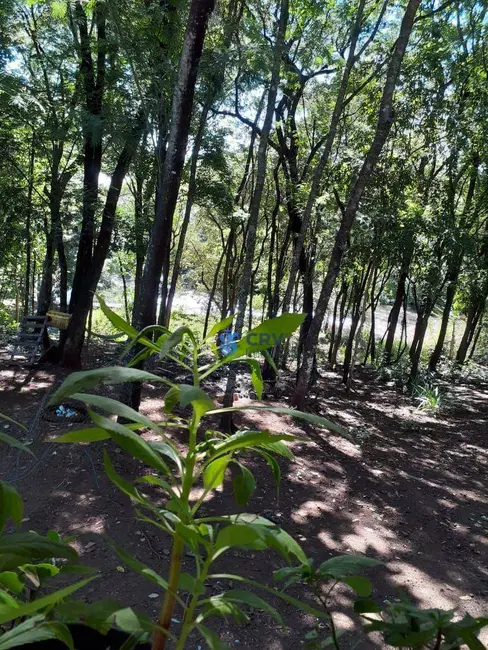 Chácara com 2 quartos à venda, 3700m2 em Jataizinho - PR - imagem 9 Foto 9 de Chácara com 2 quartos à venda, 3700m2 em Jataizinho - PR