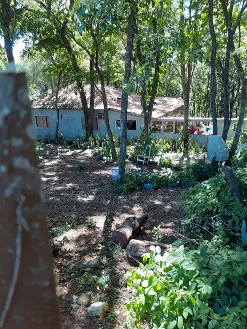 Chácara com 2 quartos à venda, 3700m2 em Jataizinho - PR - imagem 7 Foto 7 de Chácara com 2 quartos à venda, 3700m2 em Jataizinho - PR