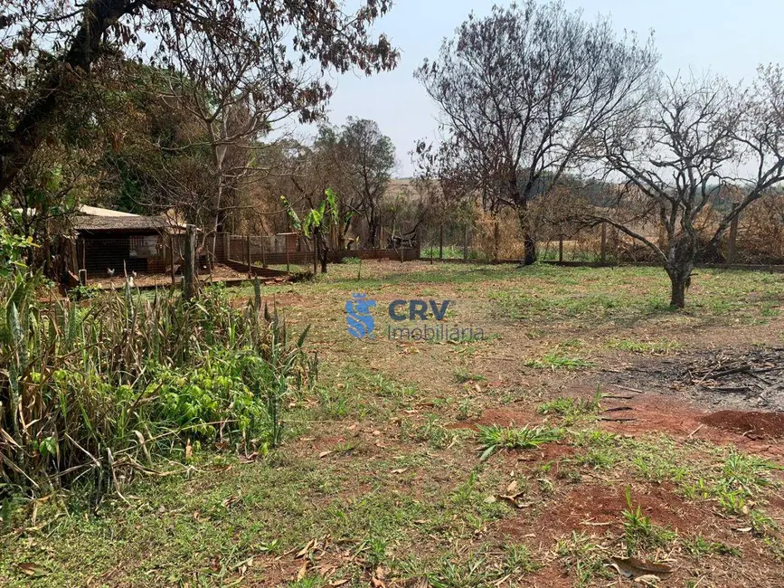 Foto 5 de Chácara com 4 quartos à venda, 3014m2 em Londrina - PR