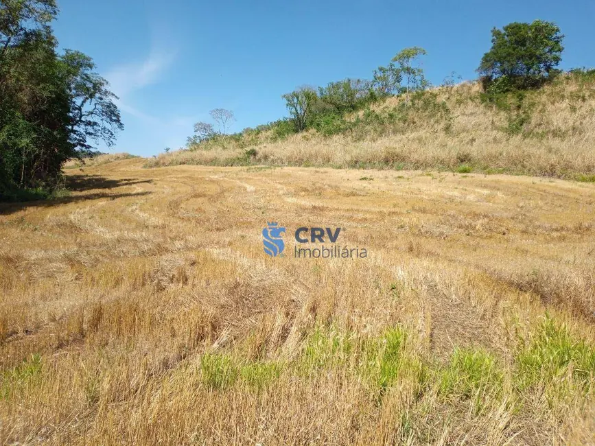 Sítio / Rancho à venda, 290400m2 em Londrina - PR - imagem 8 Foto 8 de Sítio / Rancho à venda, 290400m2 em Londrina - PR