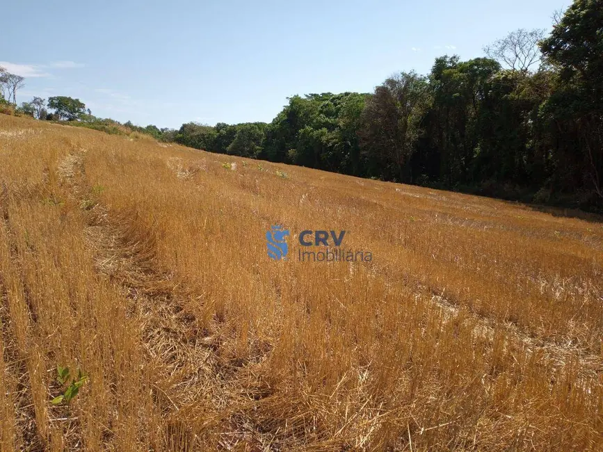 Sítio / Rancho à venda, 290400m2 em Londrina - PR - imagem 9 Foto 9 de Sítio / Rancho à venda, 290400m2 em Londrina - PR