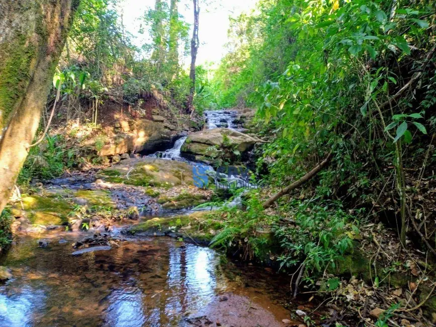 Sítio / Rancho à venda, 290400m2 em Londrina - PR - imagem 4 Foto 4 de Sítio / Rancho à venda, 290400m2 em Londrina - PR