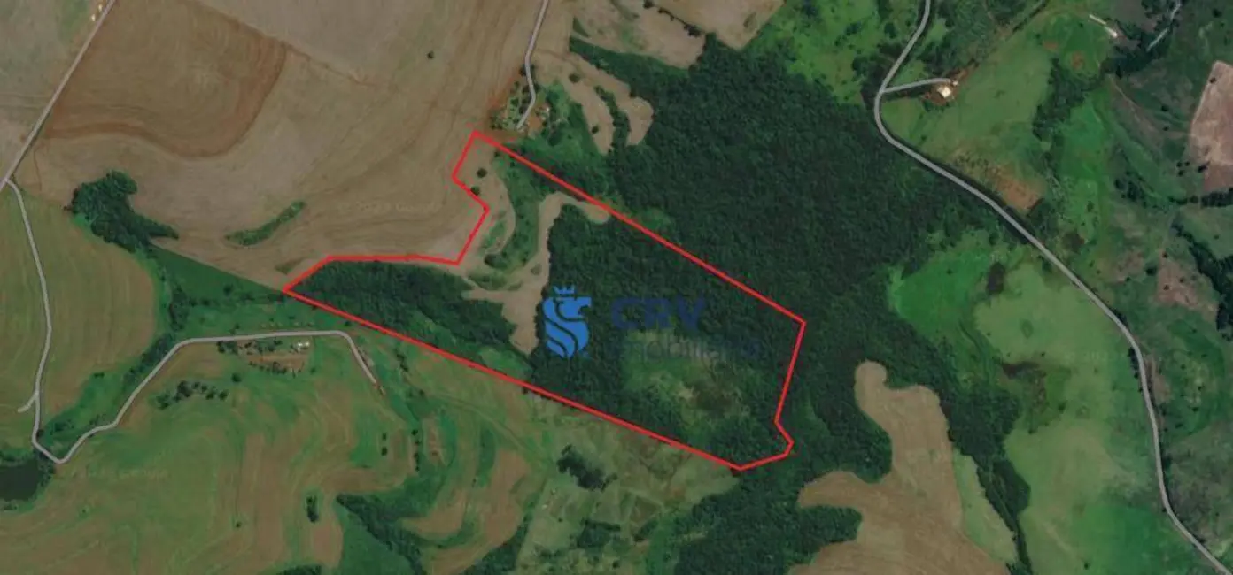 Sítio / Rancho à venda, 290400m2 em Londrina - PR - imagem 7 Foto 7 de Sítio / Rancho à venda, 290400m2 em Londrina - PR