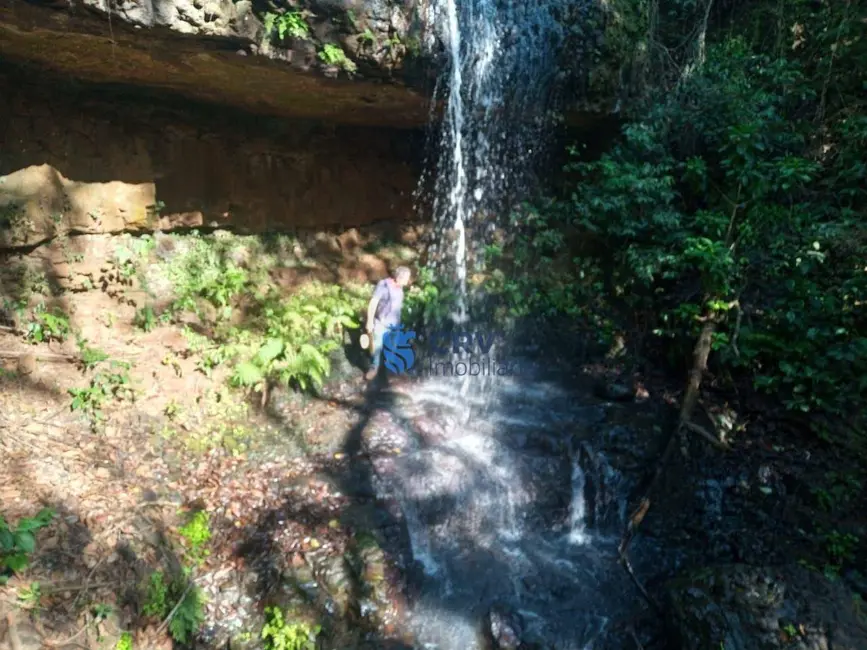 Foto 2 de Sítio / Rancho à venda, 290400m2 em Londrina - PR