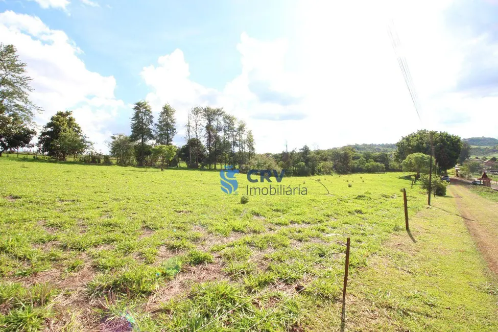 Foto 8 de Terreno / Lote à venda, 13100m2 em Limoeiro, Londrina - PR