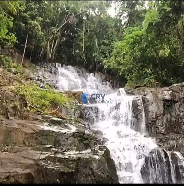 Foto 7 de Terreno / Lote à venda, 50000m2 em Centro, Ribeirao Claro - PR