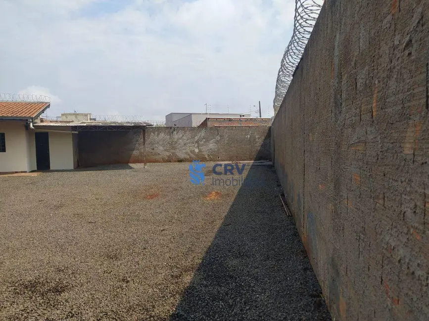 Foto 7 de Terreno / Lote para alugar, 423m2 em Leste Oeste, Londrina - PR