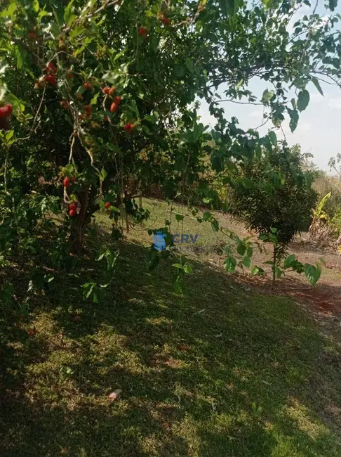 Chácara com 4 quartos à venda, 4000m2 em Alvorada Do Sul - PR - imagem 6 Foto 6 de Chácara com 4 quartos à venda, 4000m2 em Alvorada Do Sul - PR