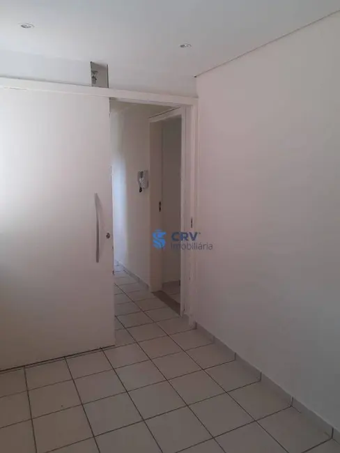 Foto 5 de Sala Comercial para alugar, 500m2 em Vila Ipiranga, Londrina - PR