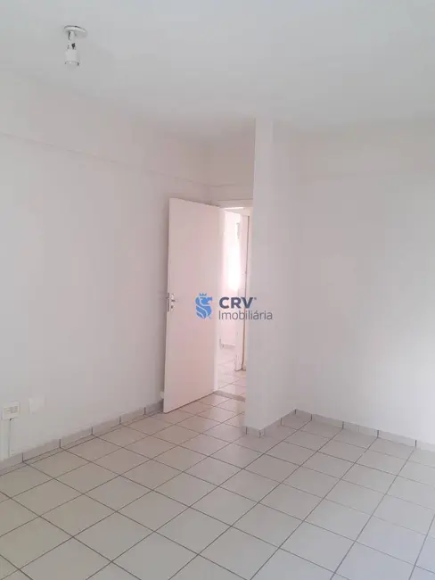 Foto 9 de Sala Comercial para alugar, 500m2 em Vila Ipiranga, Londrina - PR
