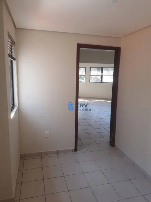 Foto 5 de Sala Comercial para alugar, 500m2 em Vila Ipiranga, Londrina - PR