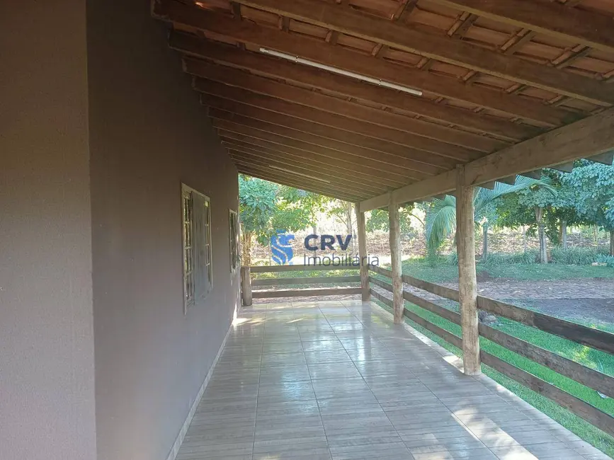 Chácara com 3 quartos à venda, 3900m2 em Novo Aeroporto, Londrina - PR - imagem 9 Foto 9 de Chácara com 3 quartos à venda, 3900m2 em Novo Aeroporto, Londrina - PR