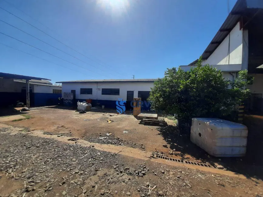 Terreno / Lote à venda e para alugar, 3763m2 em Londrina - PR - imagem 7 Foto 7 de Terreno / Lote à venda e para alugar, 3763m2 em Londrina - PR