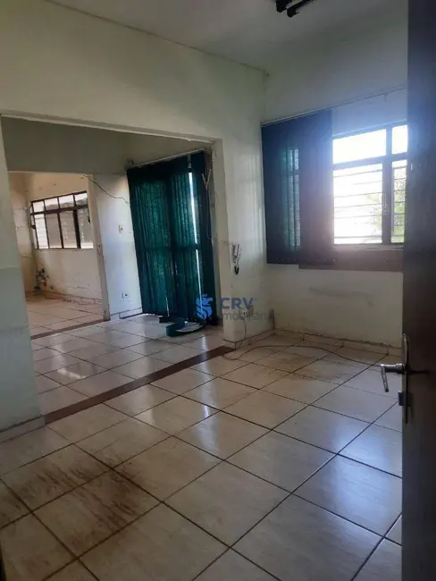 Terreno / Lote à venda e para alugar, 3763m2 em Londrina - PR - imagem 8 Foto 8 de Terreno / Lote à venda e para alugar, 3763m2 em Londrina - PR