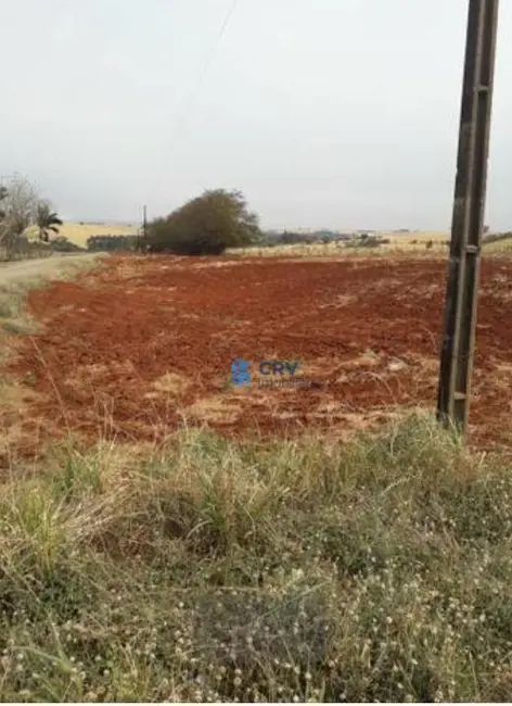 Sítio / Rancho à venda, 121000m2 em Centro, Arapongas - PR - imagem 3 Foto 3 de Sítio / Rancho à venda, 121000m2 em Centro, Arapongas - PR