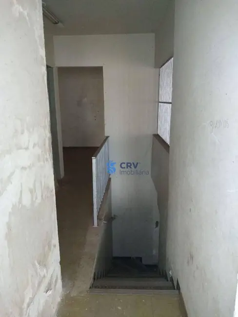 Foto 3 de Loja para alugar, 563m2 em Centro, Londrina - PR