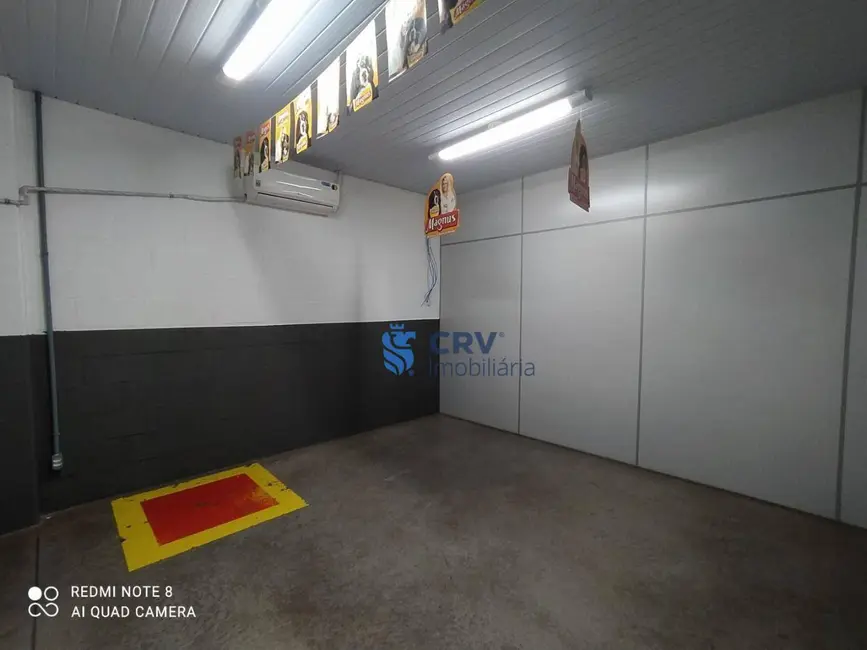 Foto 9 de Armazém / Galpão para alugar, 1036m2 em Jardim Shangri-la A, Londrina - PR