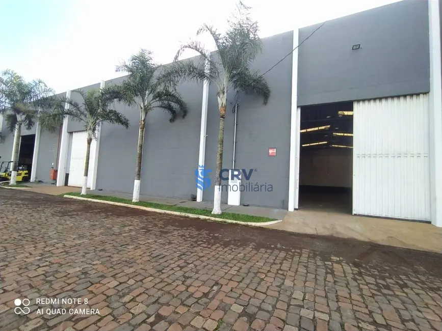 Foto 1 de Armazém / Galpão para alugar, 1036m2 em Jardim Shangri-la A, Londrina - PR