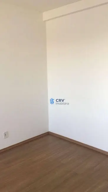 Foto 3 de Apartamento com 2 quartos para alugar, 49m2 em Londrina - PR
