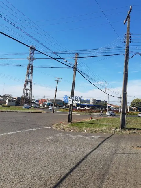 Foto 5 de Sala Comercial para alugar, 380m2 em Parque Leblon, Londrina - PR