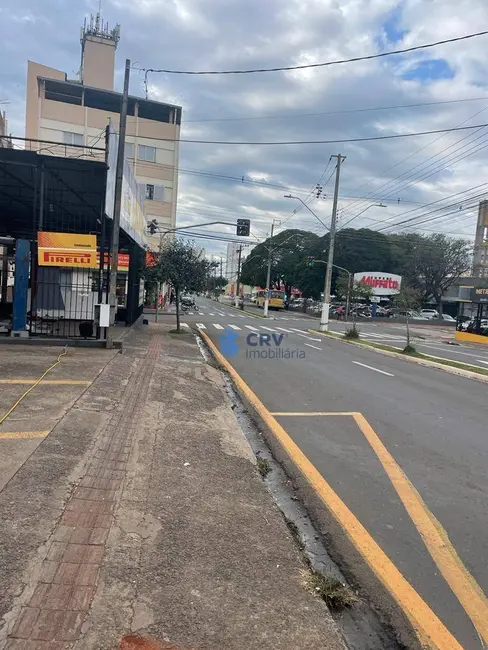 Armazém / Galpão à venda, 783m2 em Centro, Londrina - PR - imagem 8 Foto 8 de Armazém / Galpão à venda, 783m2 em Centro, Londrina - PR