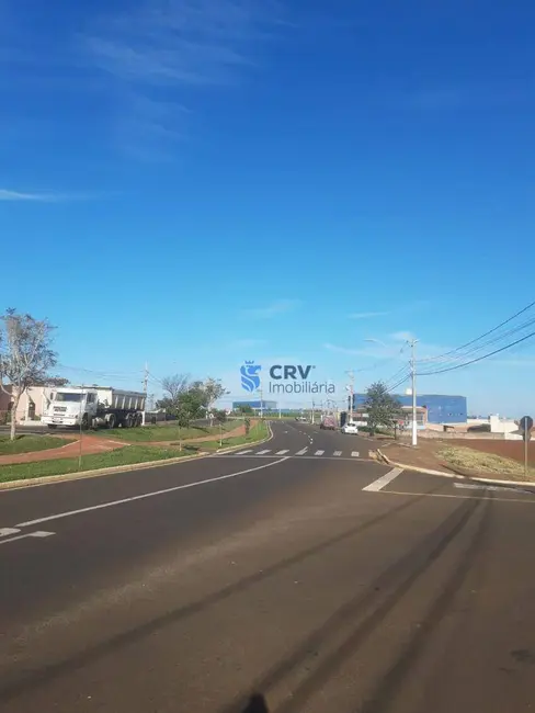 Sala Comercial para alugar, 730m2 em Aquilles Sthengel, Londrina - PR - imagem 5 Foto 5 de Sala Comercial para alugar, 730m2 em Aquilles Sthengel, Londrina - PR