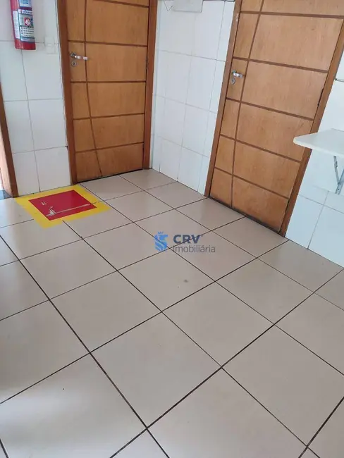 Foto 6 de Armazém / Galpão para alugar, 280m2 em Londrina - PR