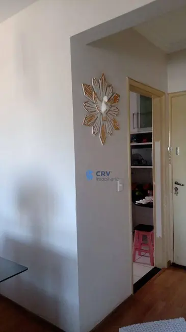 Apartamento com 3 quartos à venda, 75m2 em Nossa Senhora de Lourdes, Londrina - PR - imagem 3 Foto 3 de Apartamento com 3 quartos à venda, 75m2 em Nossa Senhora de Lourdes, Londrina - PR