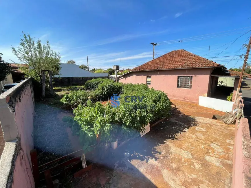 Casa com 2 quartos à venda, 400m2 em Vila Goes, Londrina - PR - imagem 3 Foto 3 de Casa com 2 quartos à venda, 400m2 em Vila Goes, Londrina - PR