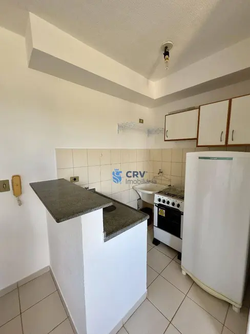 Foto 2 de Kitnet com 1 quarto para alugar, 17m2 em Alto da Colina, Londrina - PR