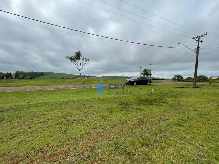 Terreno / Lote à venda, 2505m2 em Sertanopolis - PR - imagem 5 Foto 5 de Terreno / Lote à venda, 2505m2 em Sertanopolis - PR
